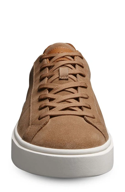 Shop Allen Edmonds Oliver Lace-up Sneaker In Sandstone