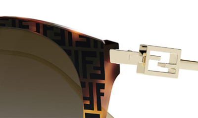 Shop Fendi The  Baguette 54mm Round Sunglasses In Colored Havana / Brown Polar