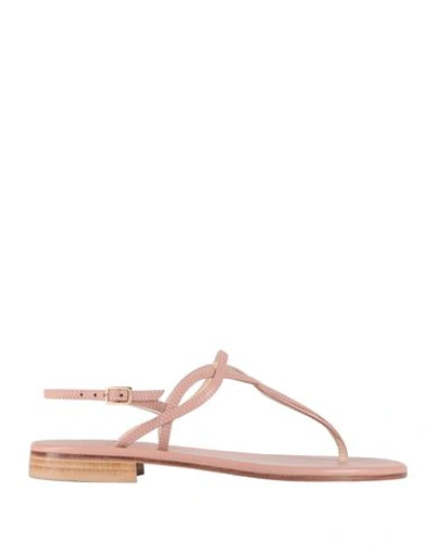 Shop Paolo Ferrara Woman Thong Sandal Blush Size 6 Soft Leather In Pink