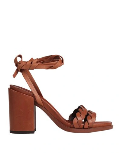 Shop Hazy Woman Sandals Brown Size 8 Leather