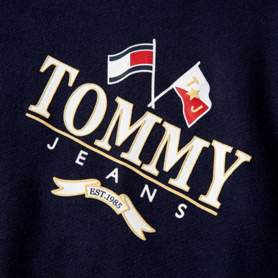 Tommy Jeans男装纯棉复古街头双旗帜印花宽松运动连帽卫衣15023