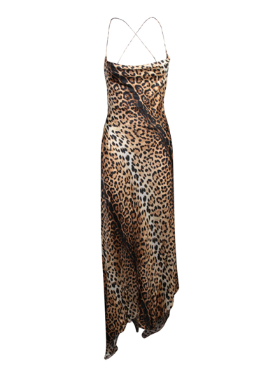 Shop Roberto Cavalli Jaguar Print Dress In Multi