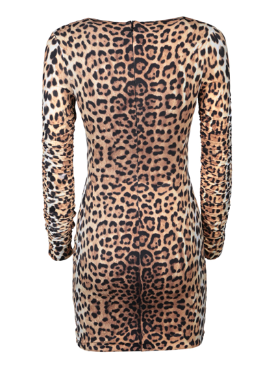 Shop Roberto Cavalli Leopard Print Dress In Multi