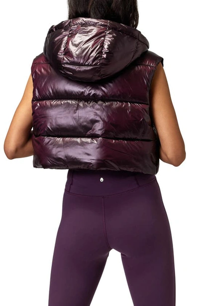 Shop Spiritual Gangster Stella Crop Hooded Puffer Vest In Midnight Plum Metallic