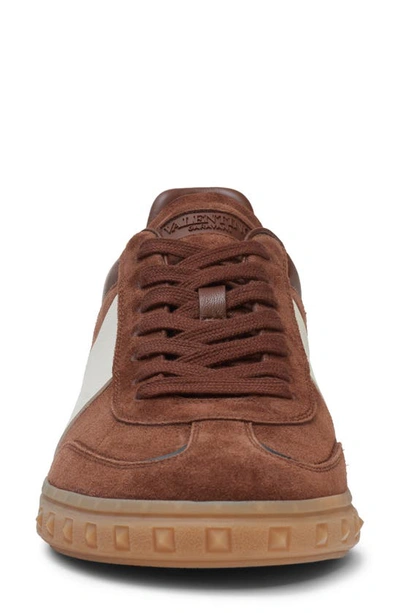 Shop Valentino Highline Low Top Sneaker In Ydq Chocolate Ivory Grigio