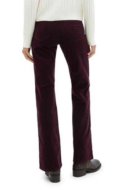 Shop Mango Mid Rise Flare Corduroy Jeans In Wine