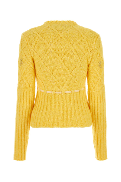 Cormio Crew-neck Wool Blend Sweater With Floral Embroideries In Yellow
