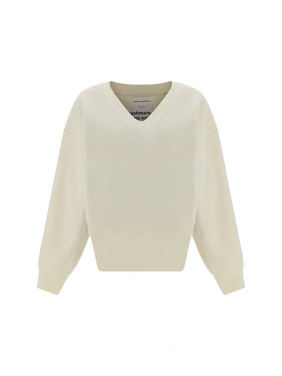 Shop Extreme Cashmere Knitwear In Cream