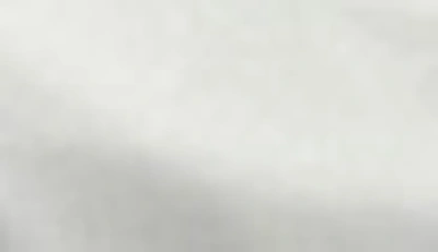 Ella Jayne Home White Cotton Percale Standard Pillow Protector In White