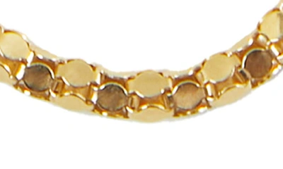 Argento Vivo Rounded Box Chain Necklace In Gold