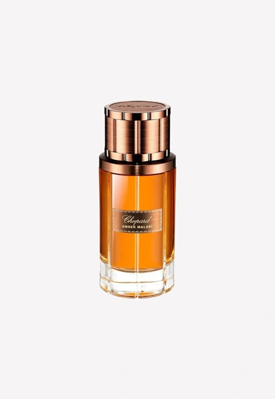 Shop Chopard Amber Malaki Eau De Parfum - 80ml In Bronze