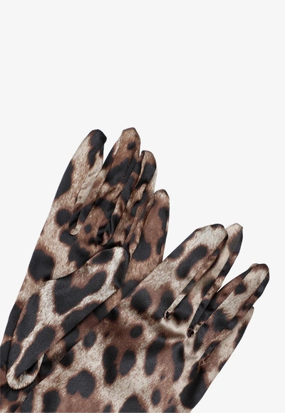 Shop Dolce & Gabbana Animal Print Gloves In Multicolor