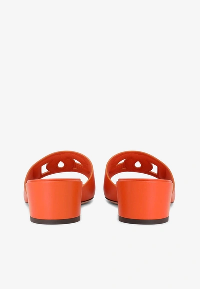 Dolce & Gabbana Bianca 40 Mules With Dg Millennials Logo In Orange