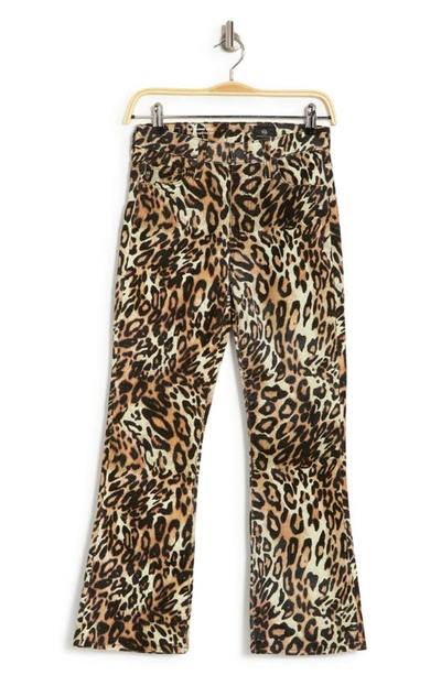 Shop Ag Quinne High Waist Crop Flare Leg Pants In Brown Leopard