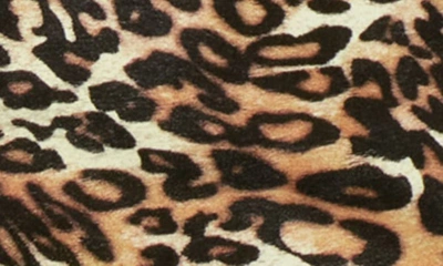 Shop Ag Quinne High Waist Crop Flare Leg Pants In Brown Leopard
