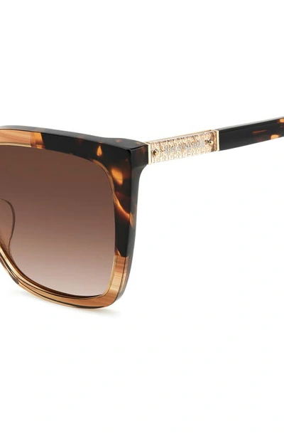 Kate Spade Marlowe Acetate Square Sunglasses In Horn Beige/ Brown Gradient