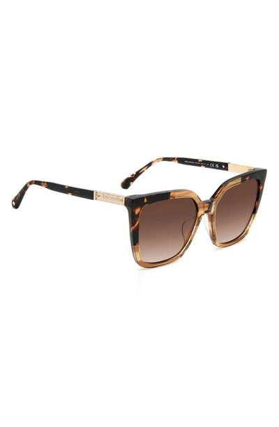 Kate Spade Marlowe Acetate Square Sunglasses In Horn Beige/ Brown Gradient