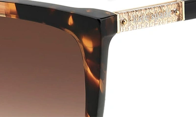 Kate Spade Marlowe Acetate Square Sunglasses In Horn Beige/ Brown Gradient