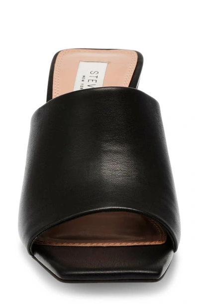 Shop Steven New York Jorry Wedge Slide Sandal In Black