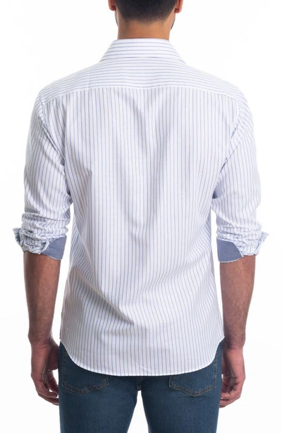 Shop Jared Lang Trim Fit Stripe Cotton Button-up Shirt In White Blue Stripes