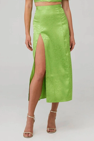 Shop Ronny Kobo Marlo Skirt In Green