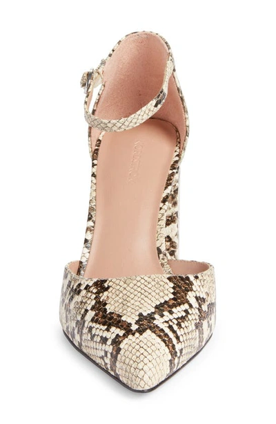 Shop Nordstrom Paola Ankle Strap Pointed Toe Pump In Ivory Snake