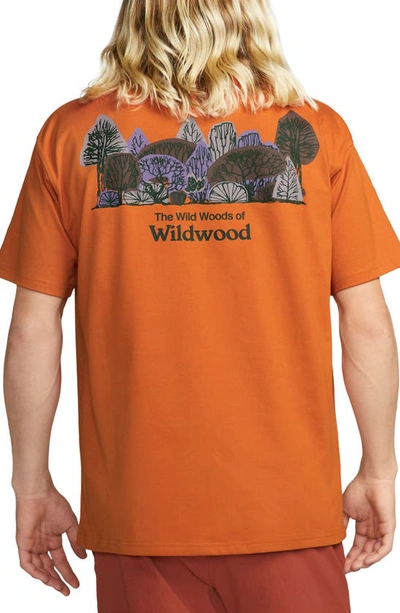 Shop Nike Acg Wildwood Oversize Graphic T-shirt In Campfire Orange
