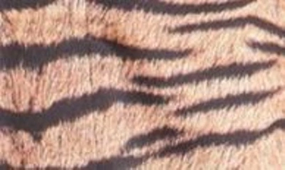 Shop Dressed In Lala Dressed In Tiger Stripes