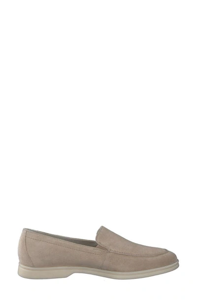 Shop Paul Green Selby Loafer In Almond Suede