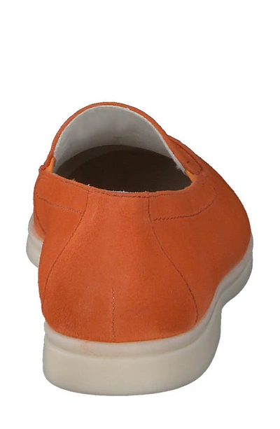 Shop Paul Green Selby Loafer In Papaya Suede