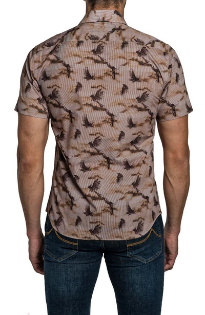 Shop Jared Lang Bird Print Short Sleeve Button-up Shirt In Brown
