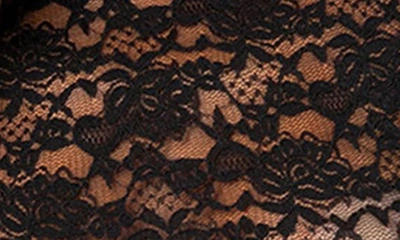 Edikted Estella Sheer Lace Crop Top In Black