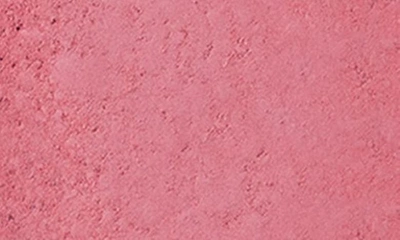 Bobbi Brown Powder Blush In Nectar