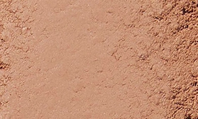 Bobbi Brown Bronzing Powder In Light