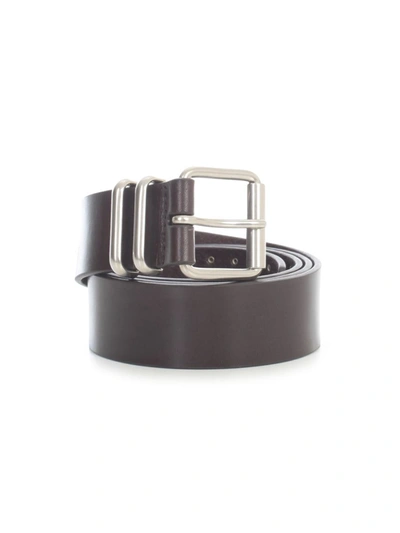 Shop Dries Van Noten Belt202 Belt W/stud Accessories In Brown