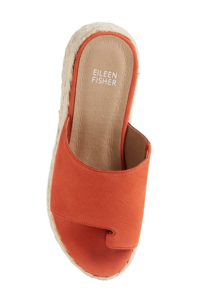 Shop Eileen Fisher Tarry Toe Loop Espadrille Wedge Slide Sandal In Tangelo