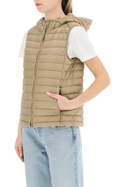 Shop Parajumpers 'hope' Hooded Down Vest Women In Cream