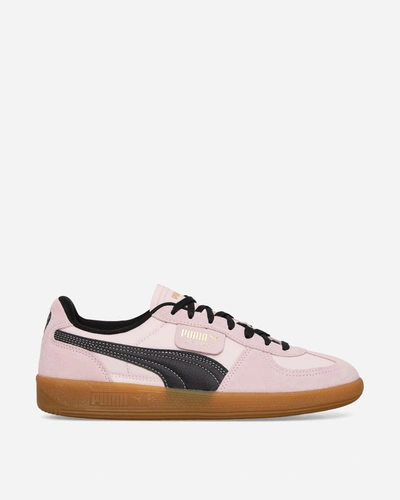 Shop Puma Palermo F.c. Palermo Sneakers Bright In Pink