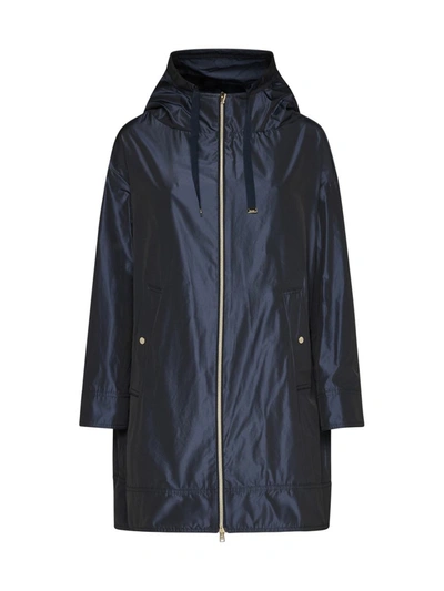 Shop Herno Coats In New Blu