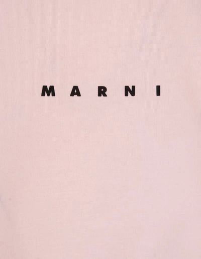 Shop Marni Oversize T-shirt With Logo In Pink