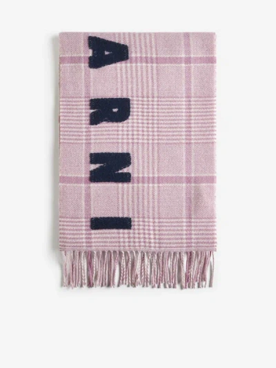 Shop Marni Logo Tartan Wool Scarf In Pink Gummy