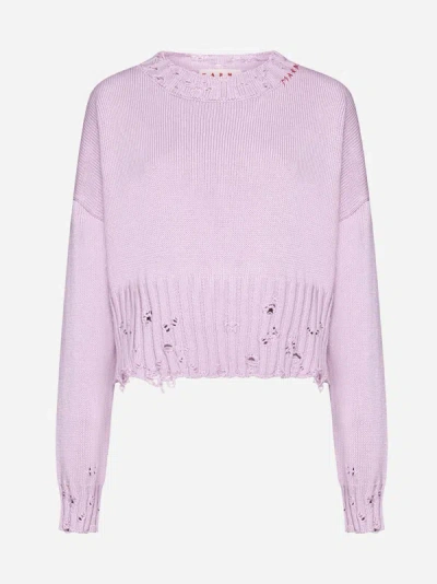 Shop Marni Cotton Cropped Sweater In Light Orchid