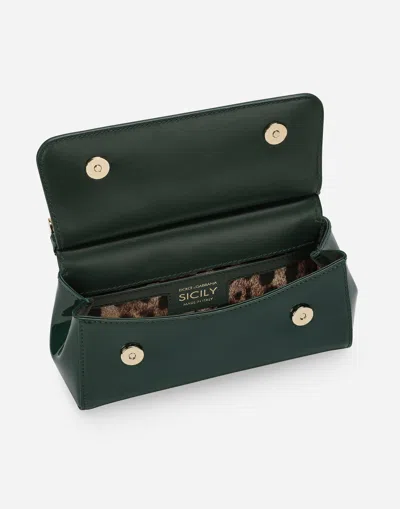 Dolce & Gabbana Borsa A Mano In Green