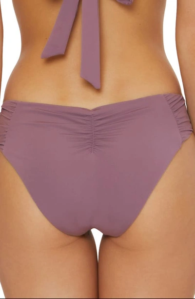 Shop Becca Color Code Hipster Bikini Bottoms In Fig