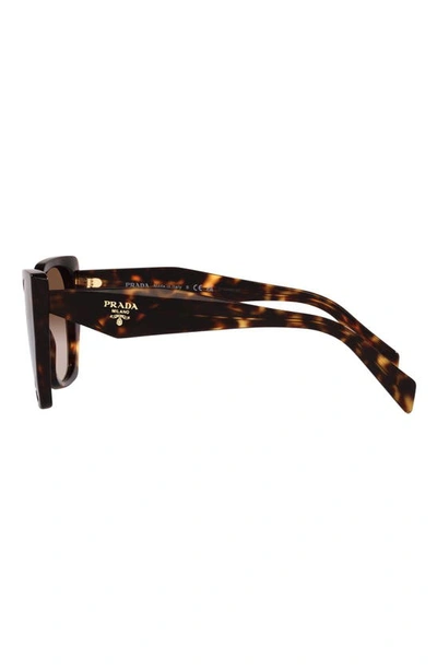 Shop Prada 56mm Cat Eye Sunglasses In Tortoise