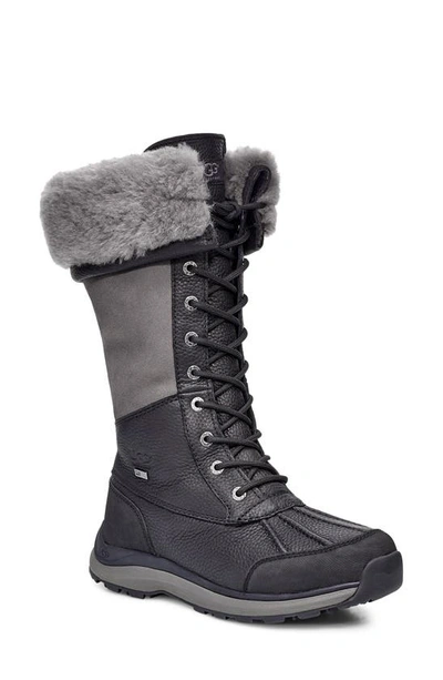 Shop Ugg Adirondack Iii Waterproof Tall Boot In Black/ Grey