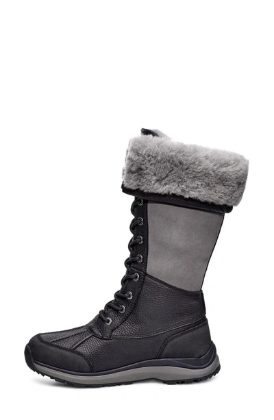Shop Ugg Adirondack Iii Waterproof Tall Boot In Black/ Grey