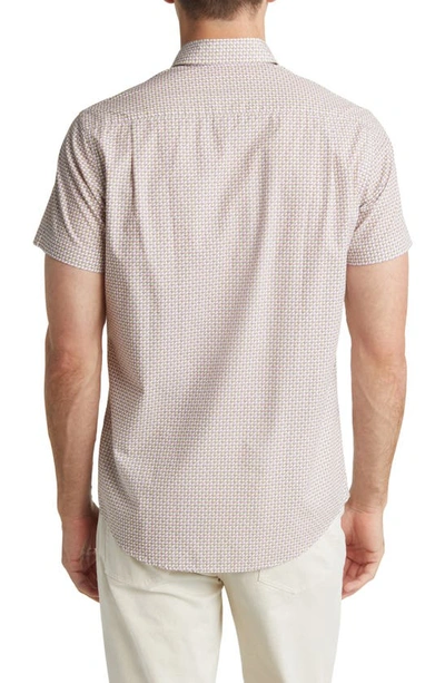 Rodd & Gunn Warkworth Sports Fit Short Sleeve Button-up Shirt In Quartz