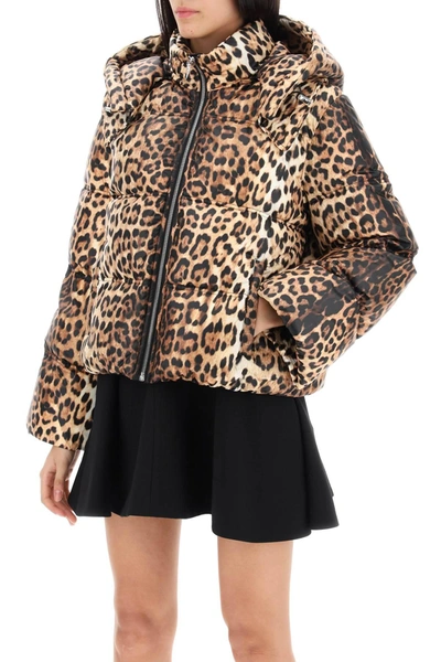 Shop Roberto Cavalli Jaguar Hooded Puffer Jacket