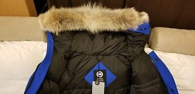 Pre-owned Canada Goose Latest Grey Label Polar Bear  Blue Label Pbi Chilliwack Small Parka In Royal Blue (polar Bear Limited Edition) Pbi